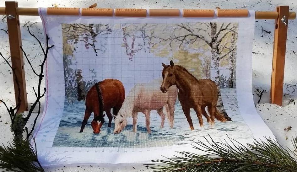 Изображение к отзыву Ирина