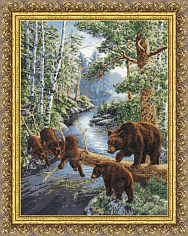 Вышивка ДЖ-035 Медвежий край